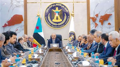 هيئة الرئاسة: التصعيد الحوثي في البحر الأحمر وباب المندب يهدد جهود إحلال السلام