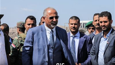 الرئيس الزُبيدي يتفقد جزيرة ميون وباب المندب