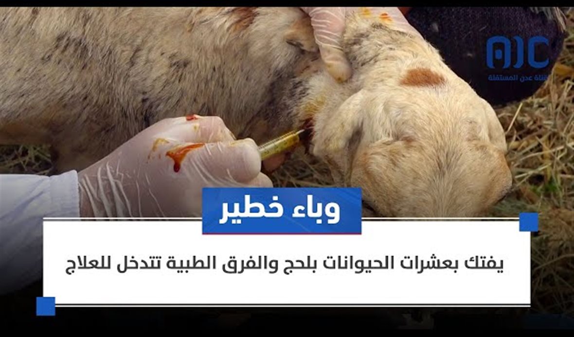 قناة عدن المستقلة AIC HDTV