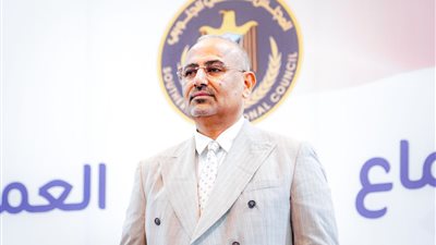 الرئيس الزُبيدي يدعو المجتمع الدولي لتحمل مسؤولياته في تأمين خطوط الملاحة