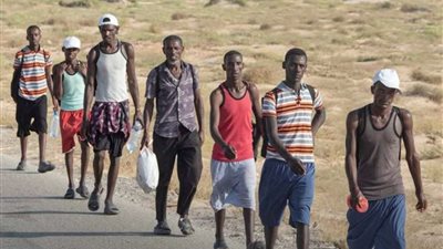الهجرة الدولية: ارتفاع أعداد المهاجرين غير الشرعيين عبر محافظة شبوة 