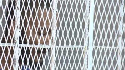 وفاة مختطف ثانٍ خلال 24 ساعة في سجون مليشيا الحوثي الإرهابية