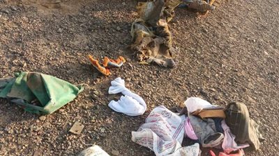 استشهاد شابين بانفجار لغم حوثي في مديرية المضاربة بلحج 