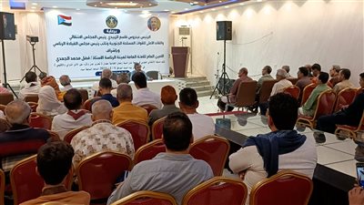 تحرير عاصمة الجنوب وأثره على الأمن الدولي