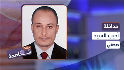 أديب السيد: مليشيا الحوثي تحتاج اليوم لموقف دولي قوي وحازم لإيقاف عبثها
