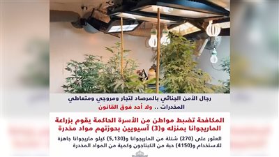 الكويت.. ضبط مواطن من الأسرة الحاكمة يزرع الماريجوانا في منزله