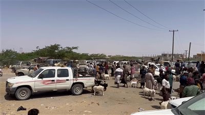 معاناةٌ إنسانيةٌ.. ارتفاع أسعار الأضاحي يُحرمُ أهالي شبوة من فرحة العيد 