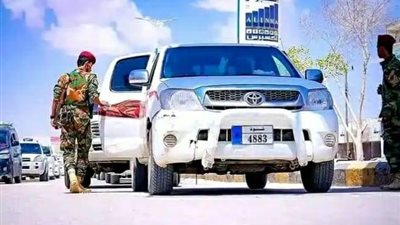 القوات الأمنية بشبوة