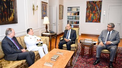 القاهرة تطالب ببيئة آمنة لمرور السفن بالبحر الأحمر