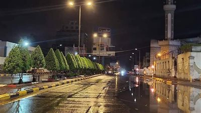 عاجل.. هطول أمطار رعدية متوسطة في عدد من مديريات العاصمة عدن