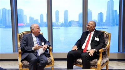 لقاءات الرئيس الزُبيدي الدبلوماسية.. مواقف إيجابية وأهداف واضحة 