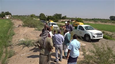 عبثت بالمحاصيل الزراعية.. حملة لمكافحة حشرة النجيليات في لحج 