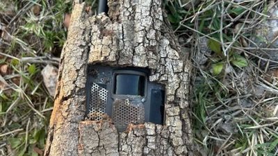 داخل الأشجار.. الجيش اللبناني يعثر على أجهزة تجسس إسرائيلية