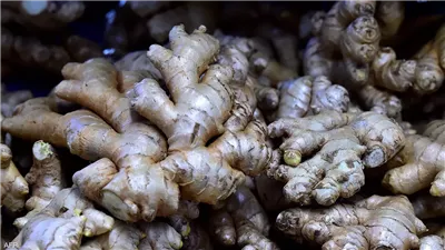 الزنجبيل.. نكهة لاذعة وفوائد صحية متعددة