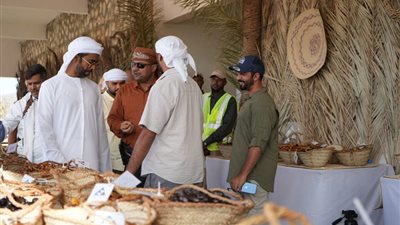 انطلاق مهرجان أرخبيل سقطرى للتمور