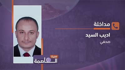 أديب السيد: بيان المبعوث الأممي بشأن العملة الجديدة للحوثيين يُعد تبريراً لممارساتهم