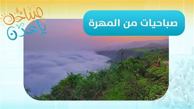 صباحك ياعدن | أعرف أكثر عن آخر مستجدات محافظة #المهرة مع مراسلنا عماد محمد
