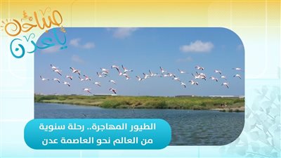 صباحك ياعدن | الطيور المهاجرة.. رحلة سنوية من العالم نحو العاصمة عدن