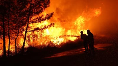 اندلاع حريق غابات كبير بريف اللاذقية في سوريا