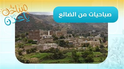صباحك ياعدن | مراسلنا رائد علي شائف ينقل آخر التطورات والمستجدات الأمنية والخدمية في محافظة #الضالع