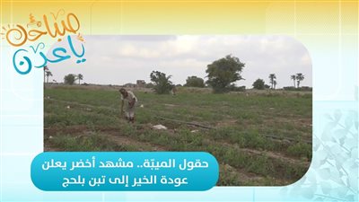 صباحك ياعدن | حقول الميبّة.. مشهد أخضر يعلن عودة الخير إلى تبن بلحج