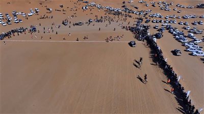 نجاح مهرجان محمد بن زايد للتراث وسباق الهجن في مديرية عسيلان بشبوة