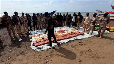 قوات العمالقة تضبط ربع طن من المخدرات في سواحل باب المندب
