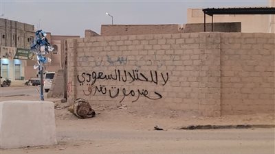 ثوار شباب حضرموت يواصلون حملتي «الوادي هويته جنوبية» والكتابات الجدارية في والودي والصحراء 